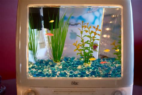 Hatchimak Mermal Magic: Creating a Mesmerizing Underwater Display